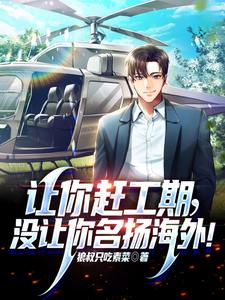 让你赶工期，没让你名扬海外！